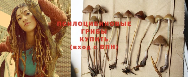 СК Абинск