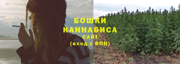 СК Абинск