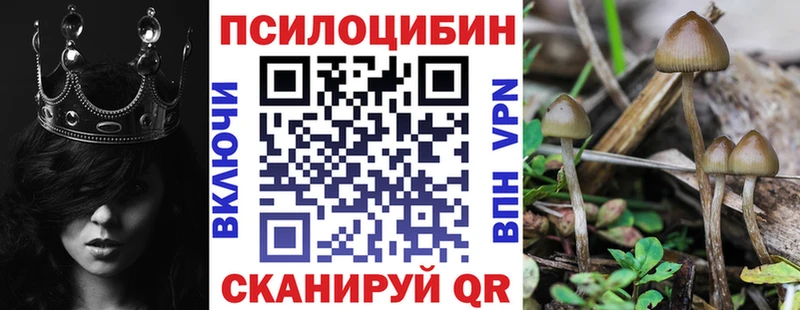 Псилоцибиновые грибы Cubensis  где можно купить   Сыктывкар 